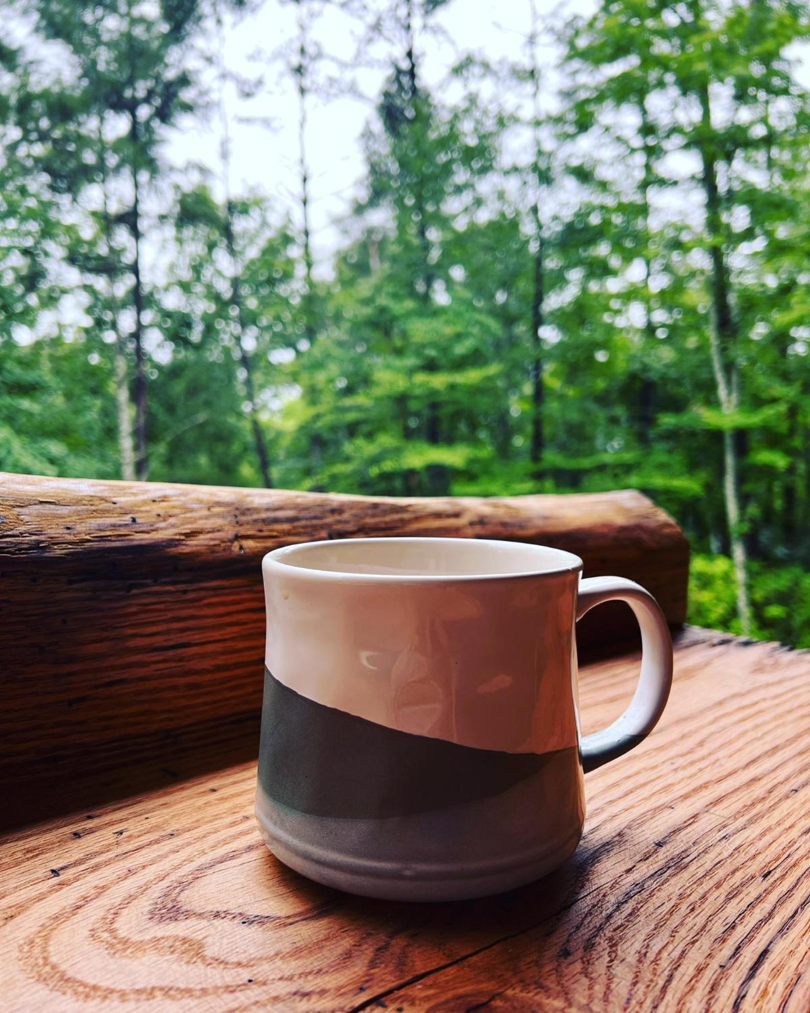 Almost Heaven Mountain Cabin ميرفي المظهر الخارجي الصورة